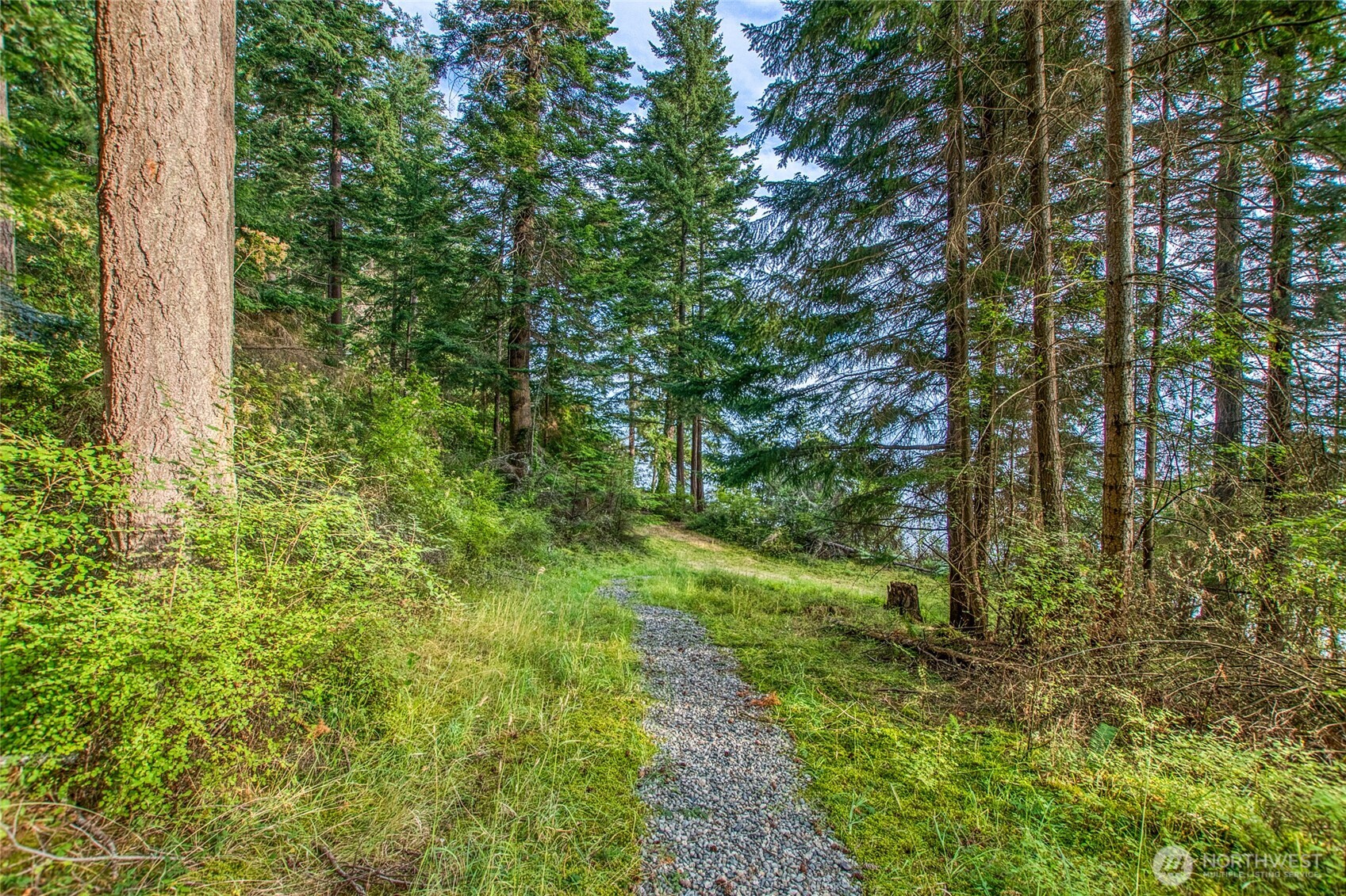 2760 Raccoon Point Road Orcas Island, WA 98245 - Photo 5 of 37 Gallery Image 5
