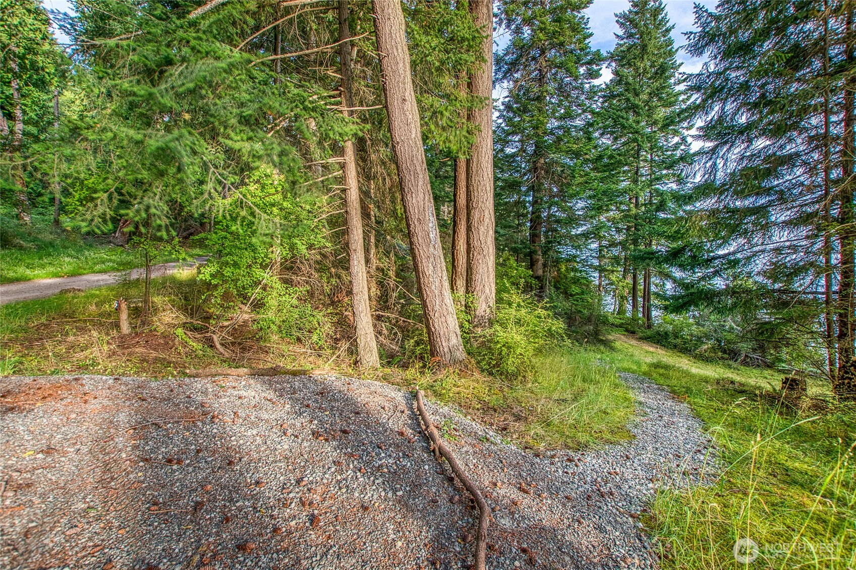 2760 Raccoon Point Road Orcas Island, WA 98245 - Photo 8 of 37 Gallery Image 8