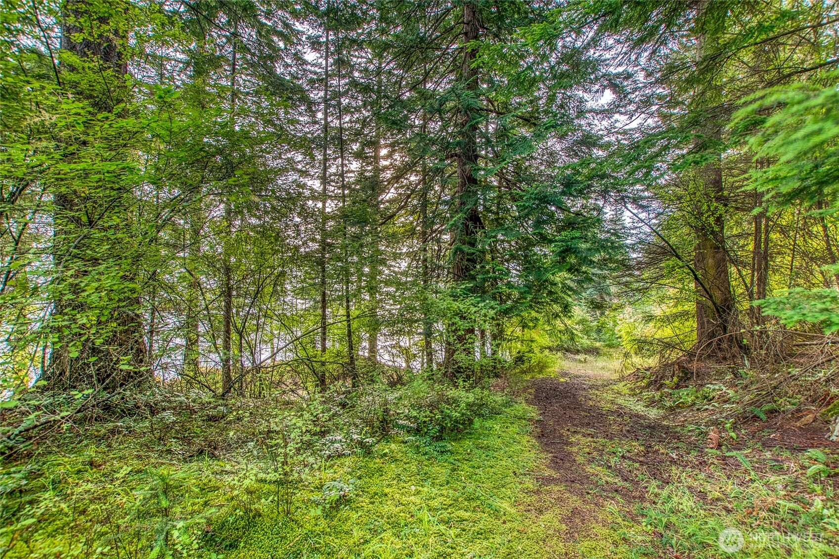 2760 Raccoon Point Road Orcas Island, WA 98245 - Photo 10 of 37 Gallery Image 10