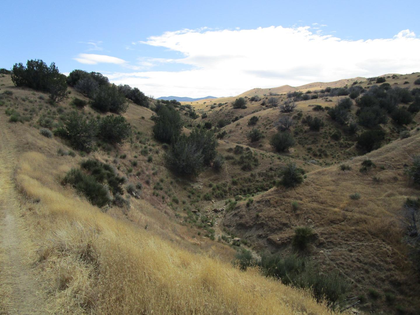 0 New Idria Road Paicines, CA 95043 - Photo 12 of 26