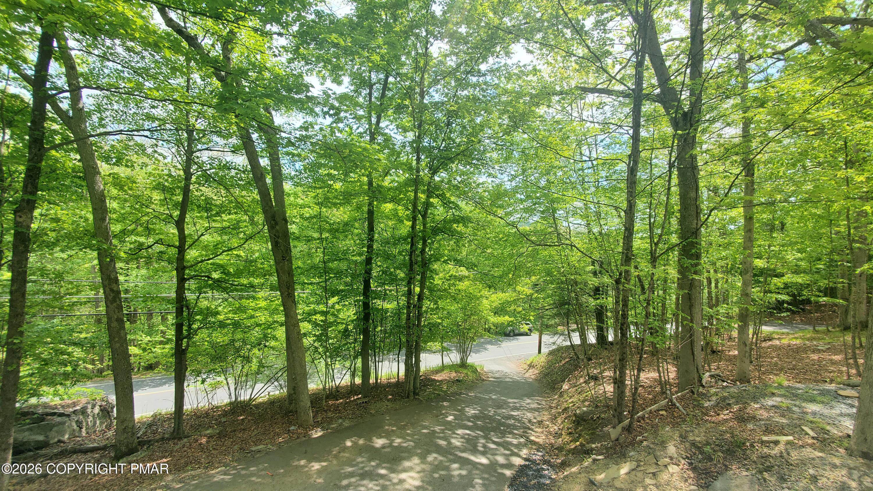5873 Decker Road Bushkill, PA 18324 - Photo 26 of 57 a view of forest