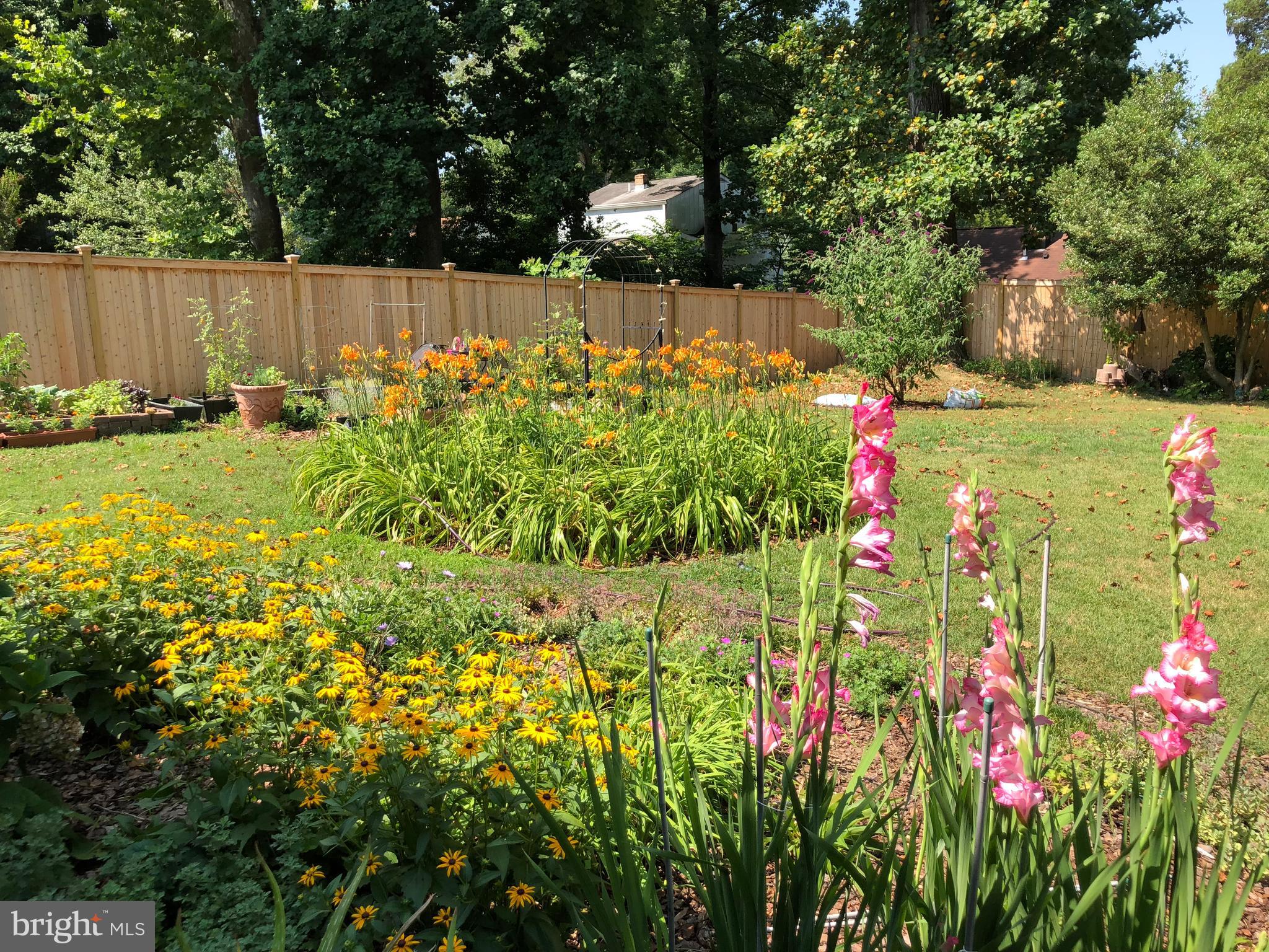 4414 Emden Street Silver Spring, MD 20906 - Photo 65 of 69 Early Summer Back Yard
