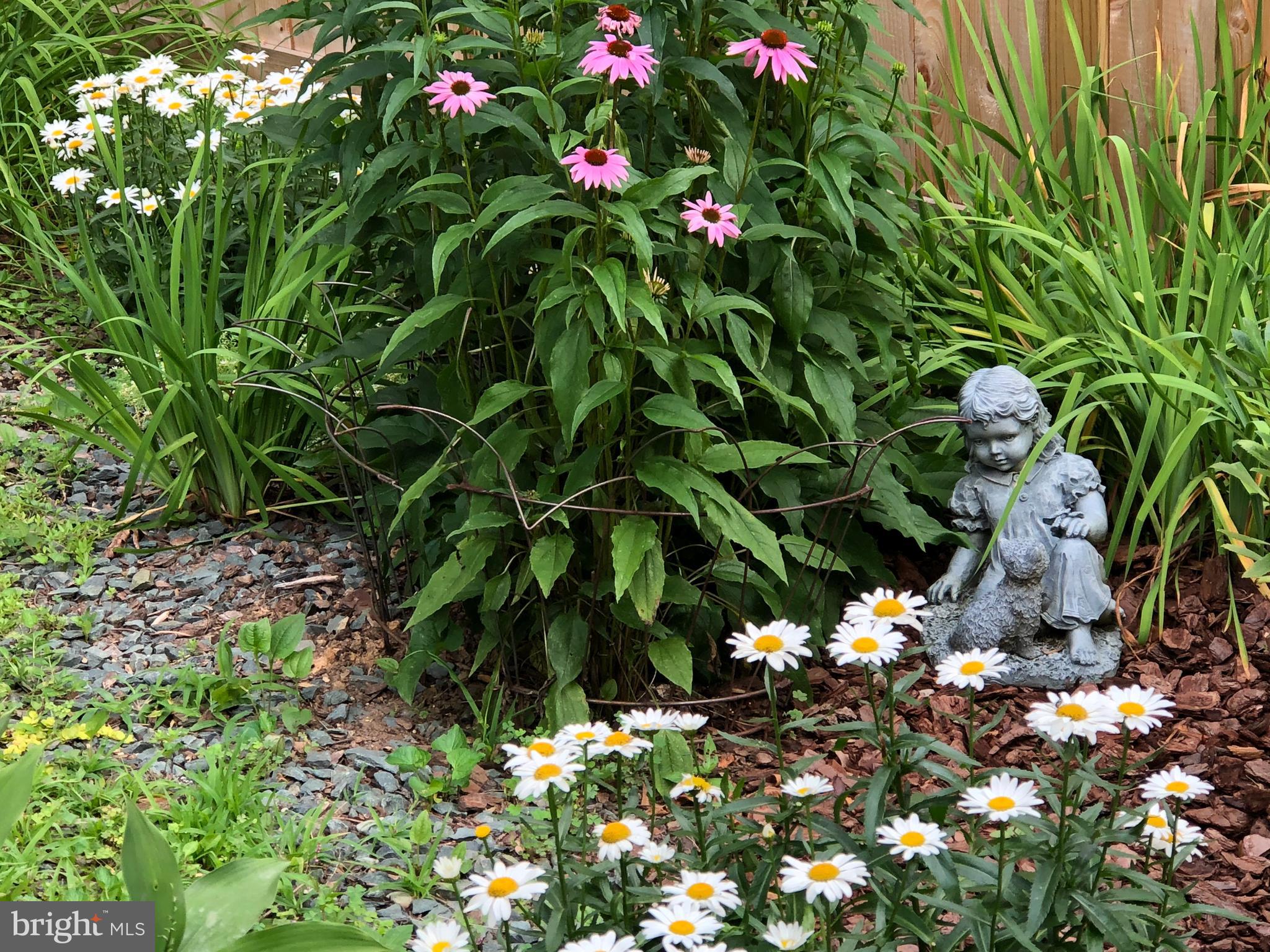 4414 Emden Street Silver Spring, MD 20906 - Photo 66 of 69 Spring and Summer time bloom