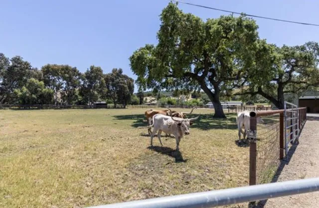 a view of a house with a yard and street