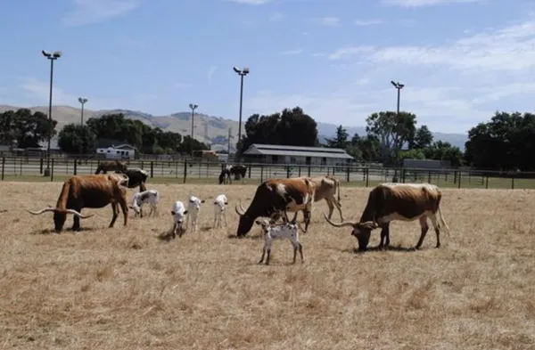 a view of a lake with outdoor space