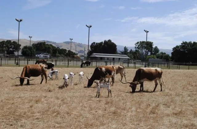 a view of a lake with outdoor space
