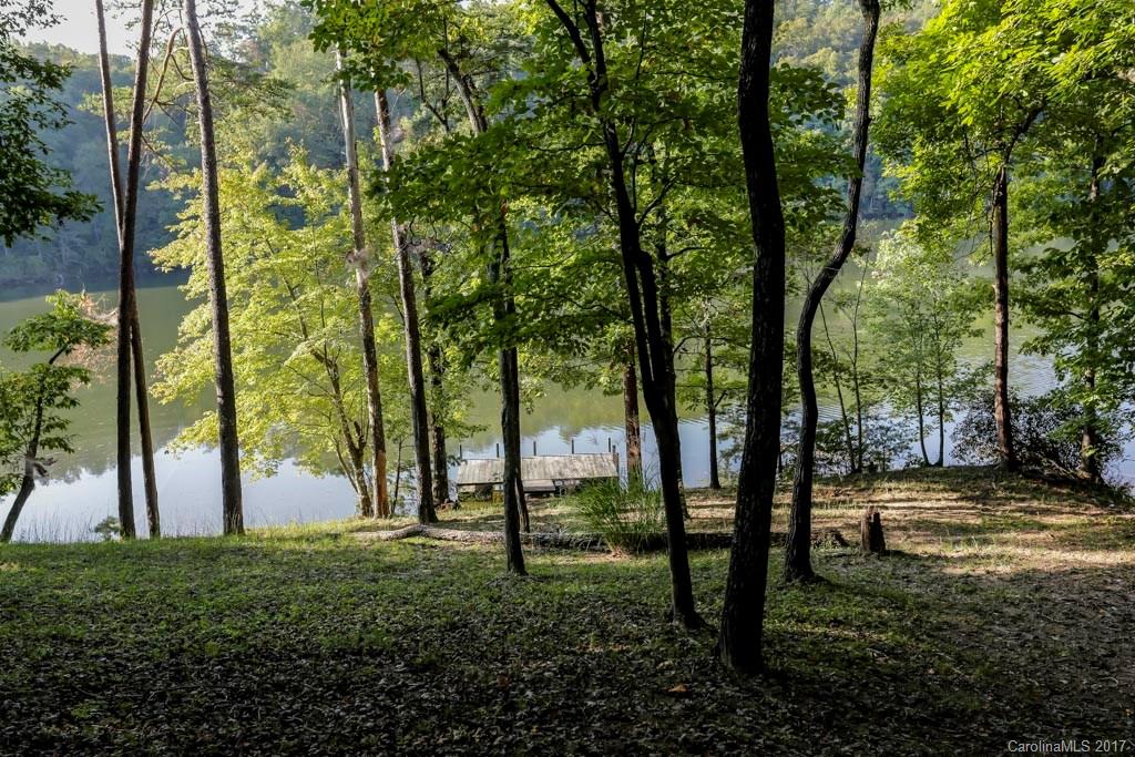 116 Piney Pointe Ln Mill Spring Mill Spring, NC 28756 - Photo 22 of 24
