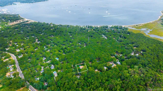 a view of a big yard