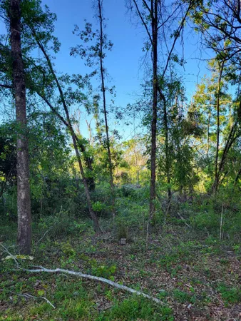$25,000 | Lot 85-86 Canopy Lane, Perry, FL 32347