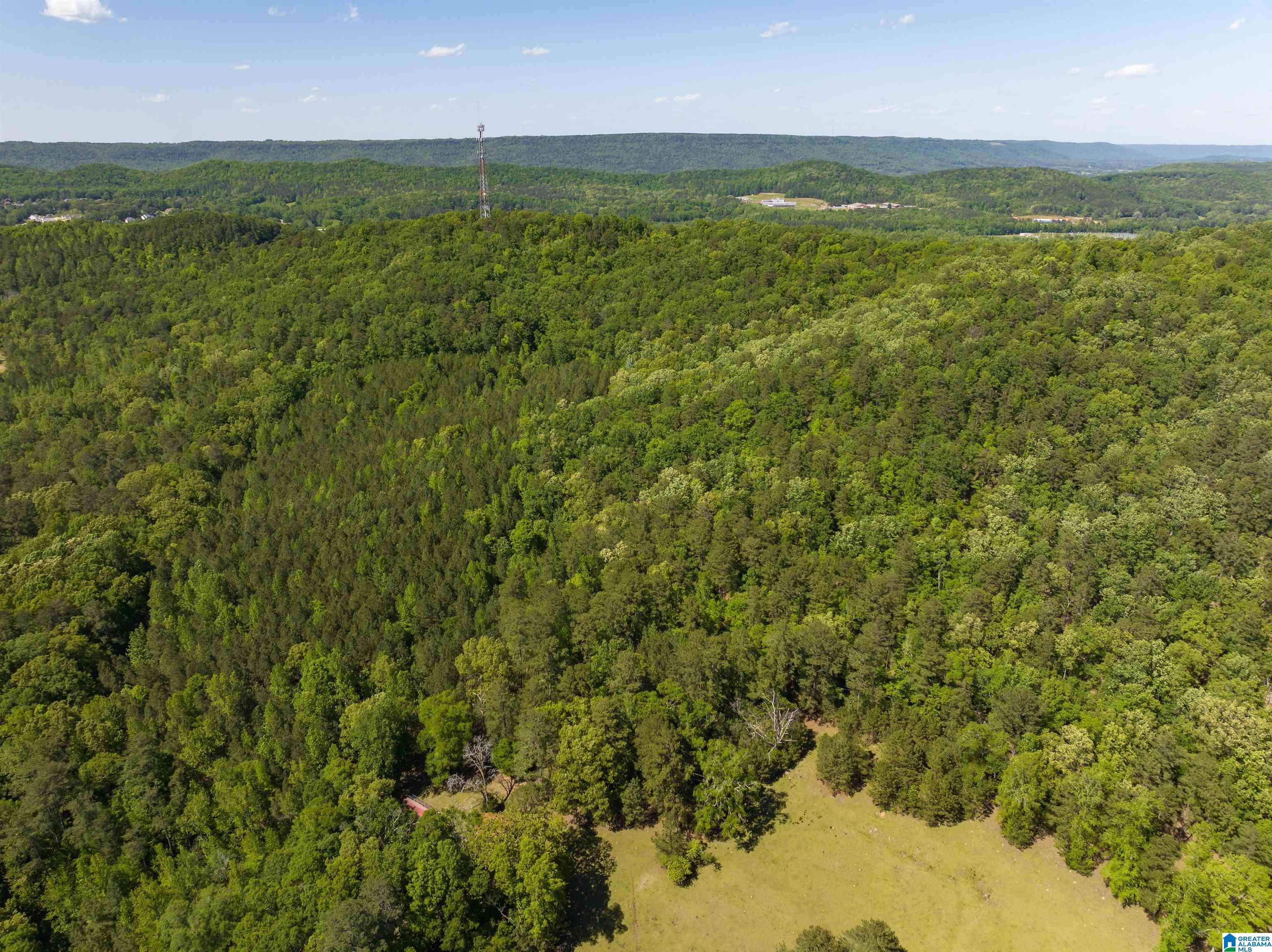 1649 Highway 174 Springville, AL 35146 - Photo 4 of 8