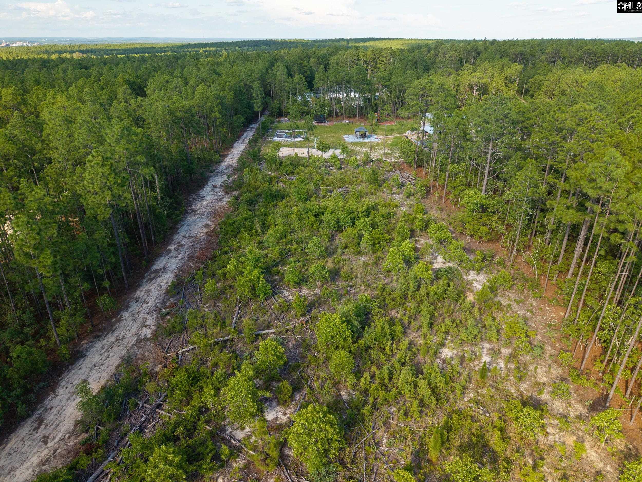 0 Pine Plain Road Gaston, SC 29053 - Photo 3 of 7
