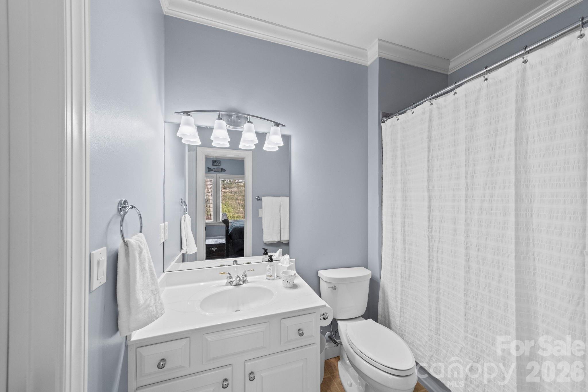 1802 Summit View Place Waxhaw, NC 28173 - Photo 29 of 47 a bathroom with a toilet a sink and a mirror