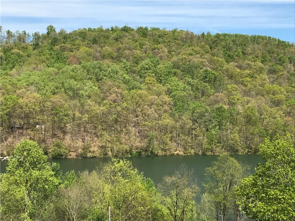 340 Tub Run Road Confluence, PA 15424 - Photo 6 of 13