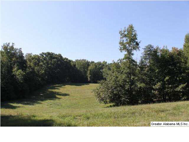 619 County Road, Unit 59 5AC Woodland, AL 36280 - Photo 6 of 13
