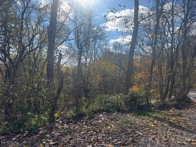 2445 McCord Hill Road Wellsburg, WV 26070 - Photo 36 of 37 View of wooded area