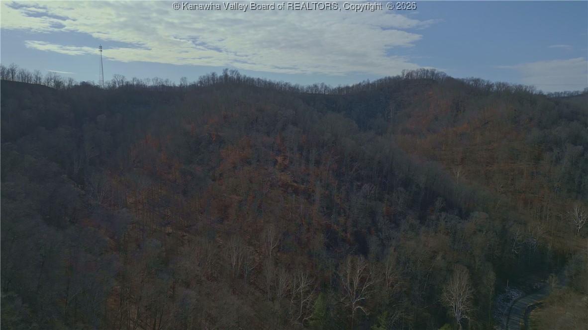 827 Caney Branch Road Chapmanville, WV 25508 - Photo 9 of 18 Gallery Image 9