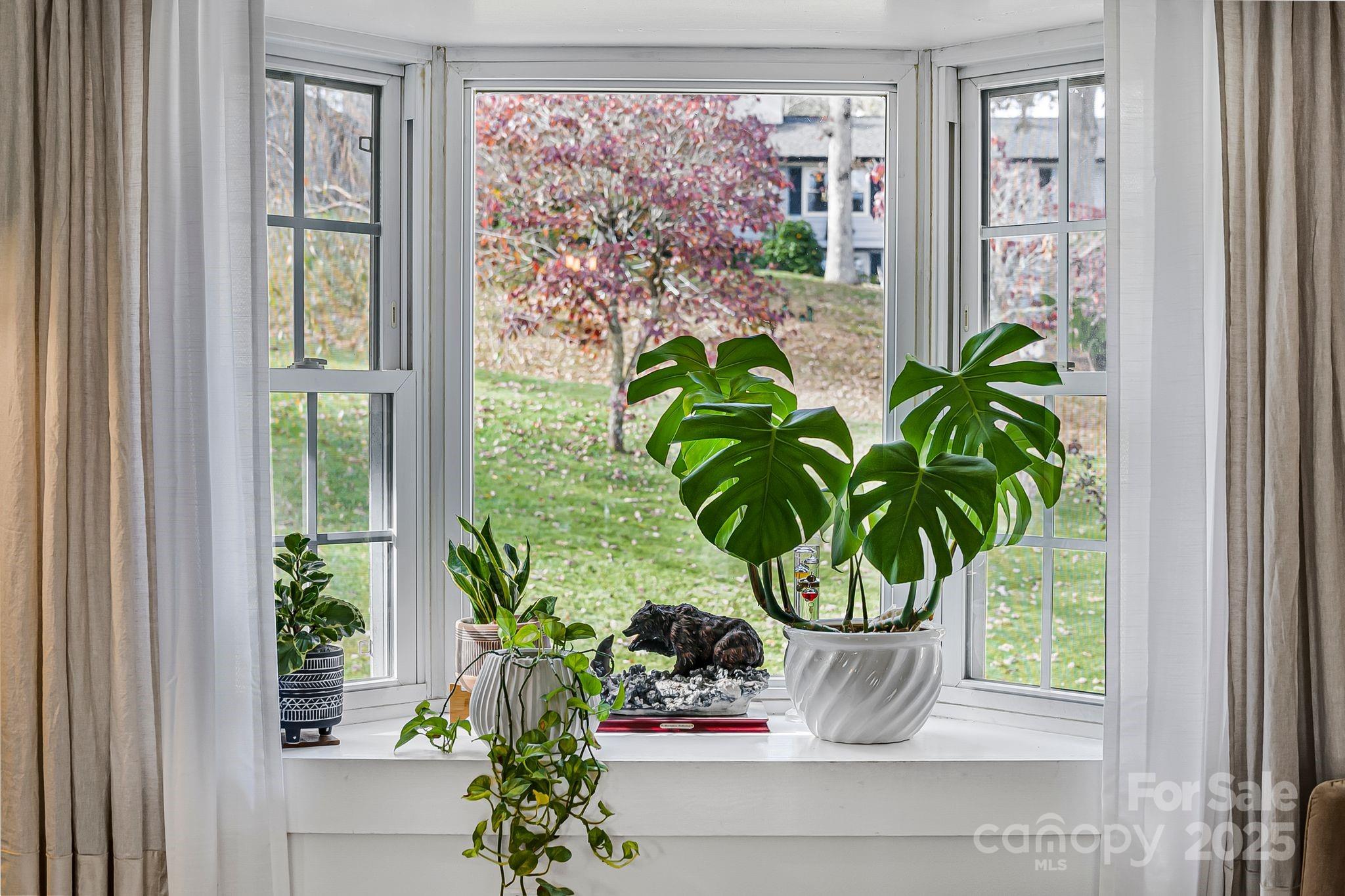 16 Woodfield Road Arden, NC 28704 - Photo 7 of 41 a view of a vase of flowers sitting on a floor