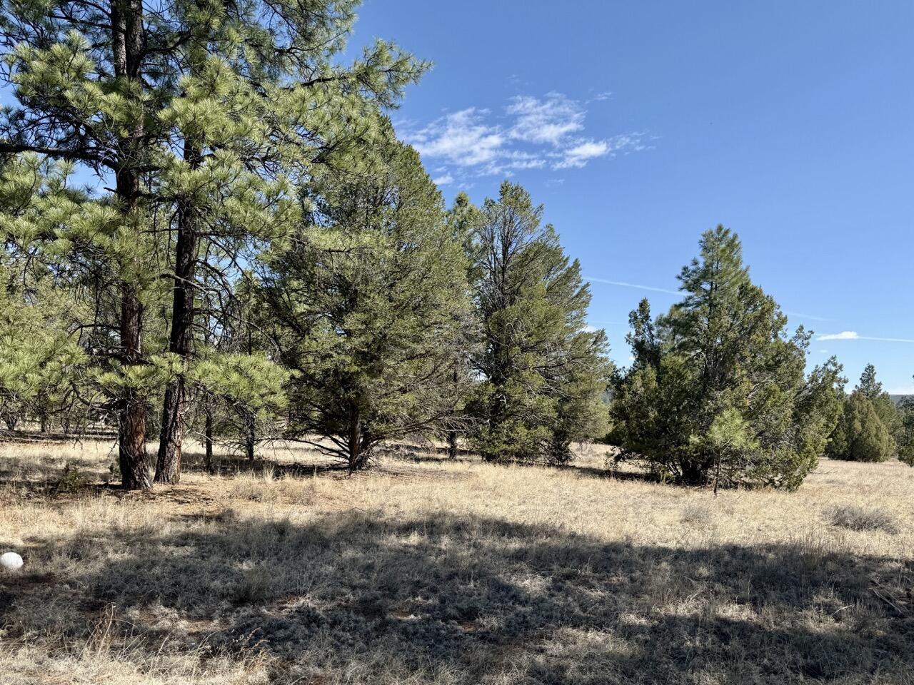 823 Timberlake Road Ramah, NM 87321 - Photo 22 of 47 Gallery Image 22