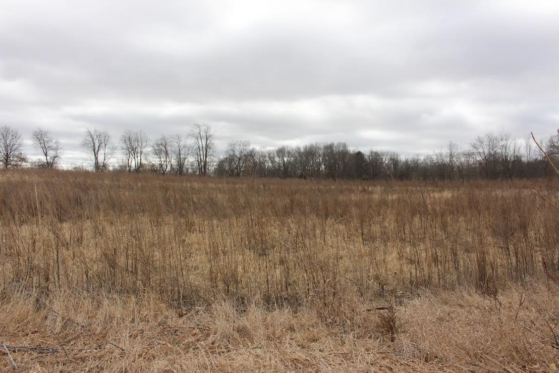 0 Sager Road Michigan Center, MI 49254 - Photo 1 of 2 Gallery Image 1
