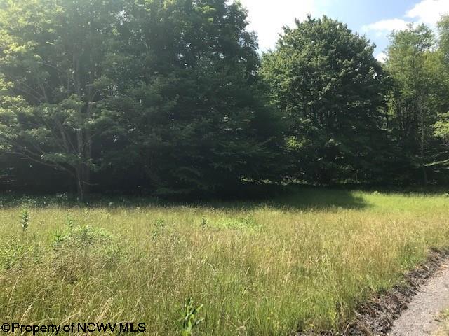 Lot 21 Deer Ridge Davis, WV 26260 - Photo 15 of 16 Gallery Image 15
