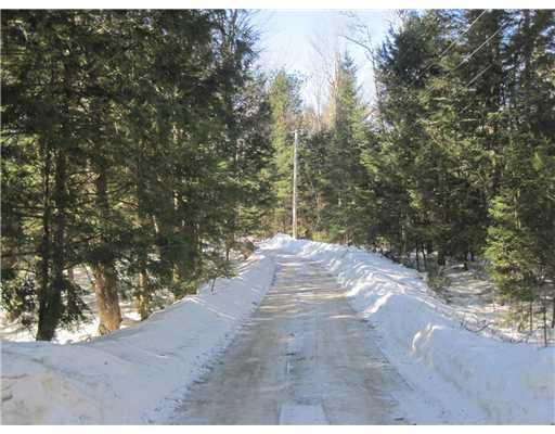 243 Brown Road Poland, ME 04274 - Photo 16 of 16 Other. Road View