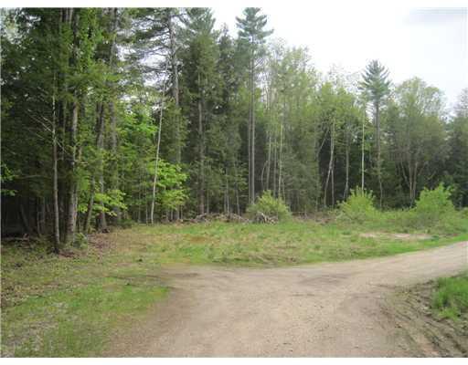 243 Brown Road Poland, ME 04274 - Photo 3 of 16 Land/Lot.