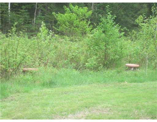 243 Brown Road Poland, ME 04274 - Photo 4 of 16 Land/Lot.
