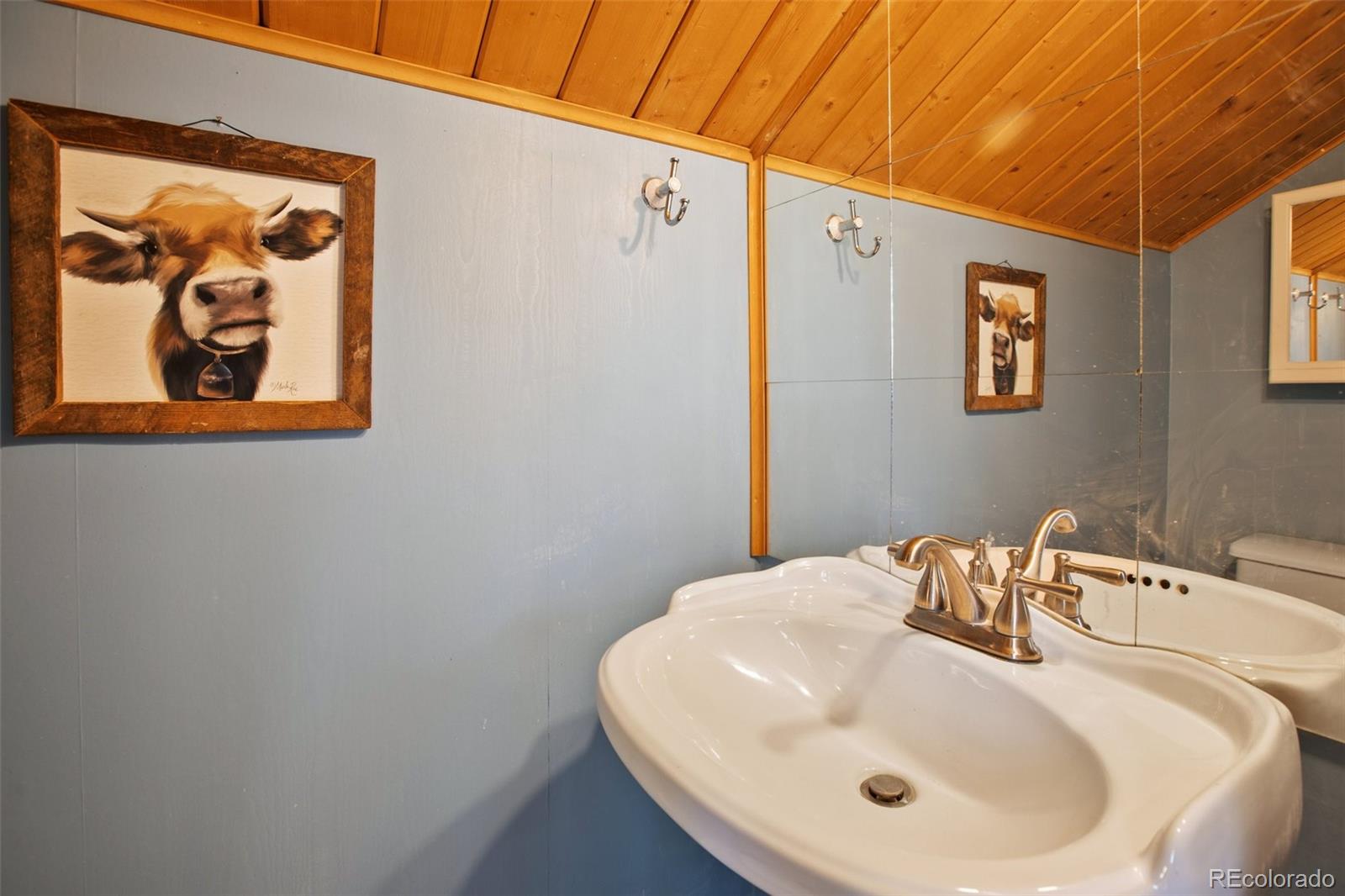 292 Quartz Road Florissant, CO 80816 - Photo 35 of 40