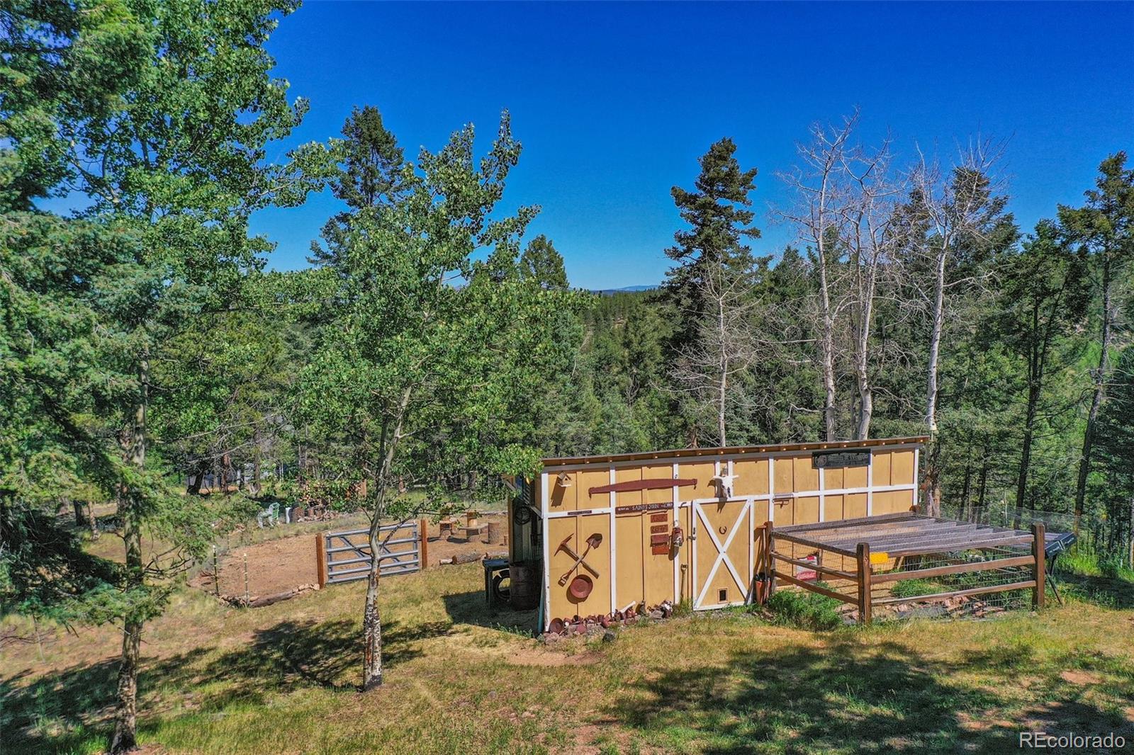 292 Quartz Road Florissant, CO 80816 - Photo 10 of 40