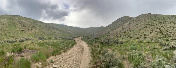 a view of a dry yard with mountains in the background