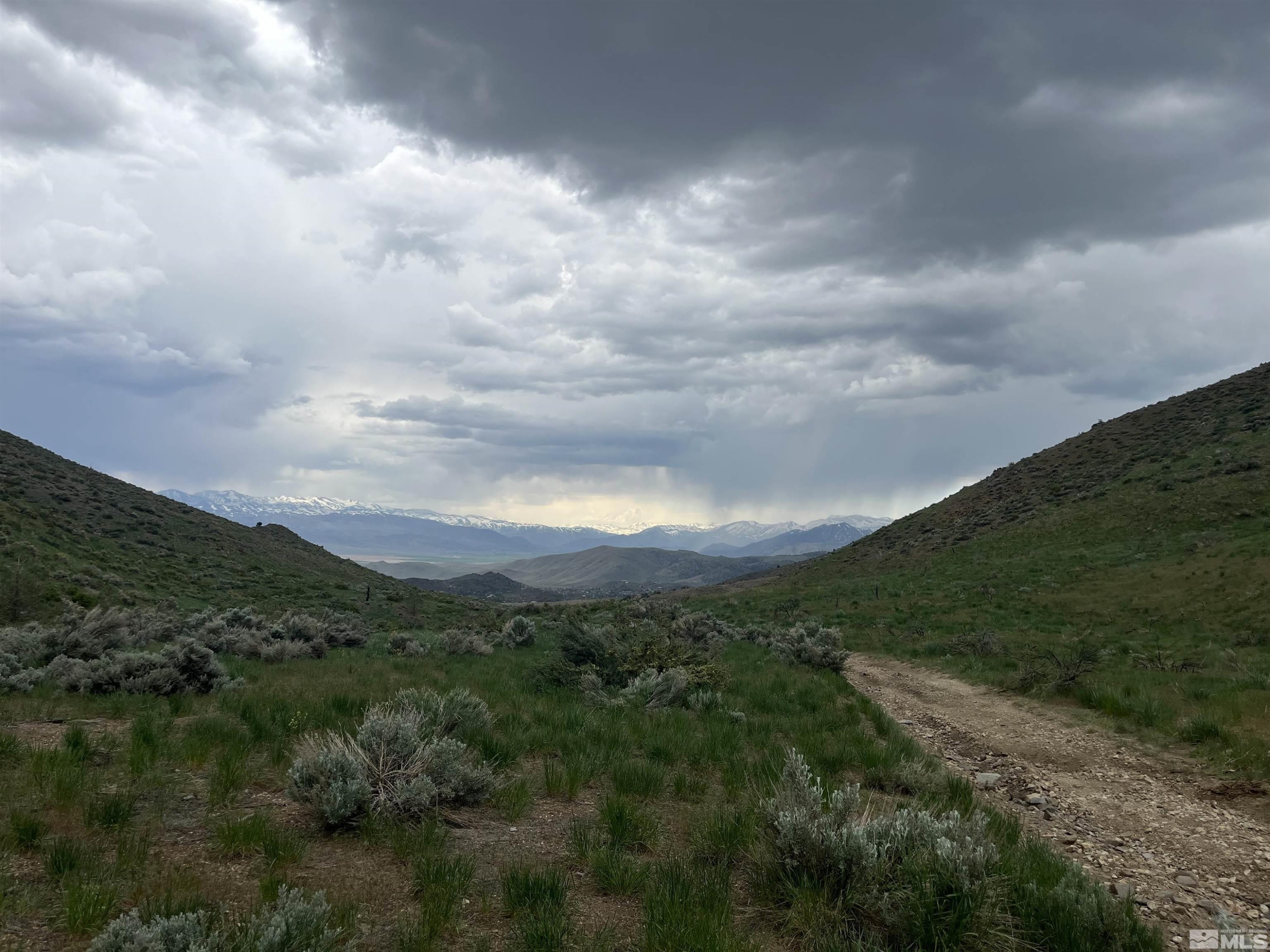 0 None Wellington, NV 89444 - Photo 3 of 8 a view of a city with lush green forest