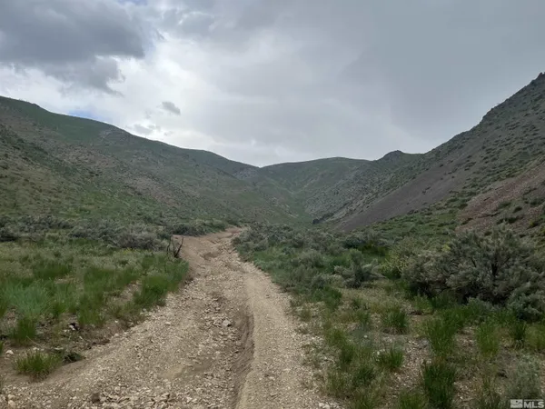a view of a dry field with mountains in the background