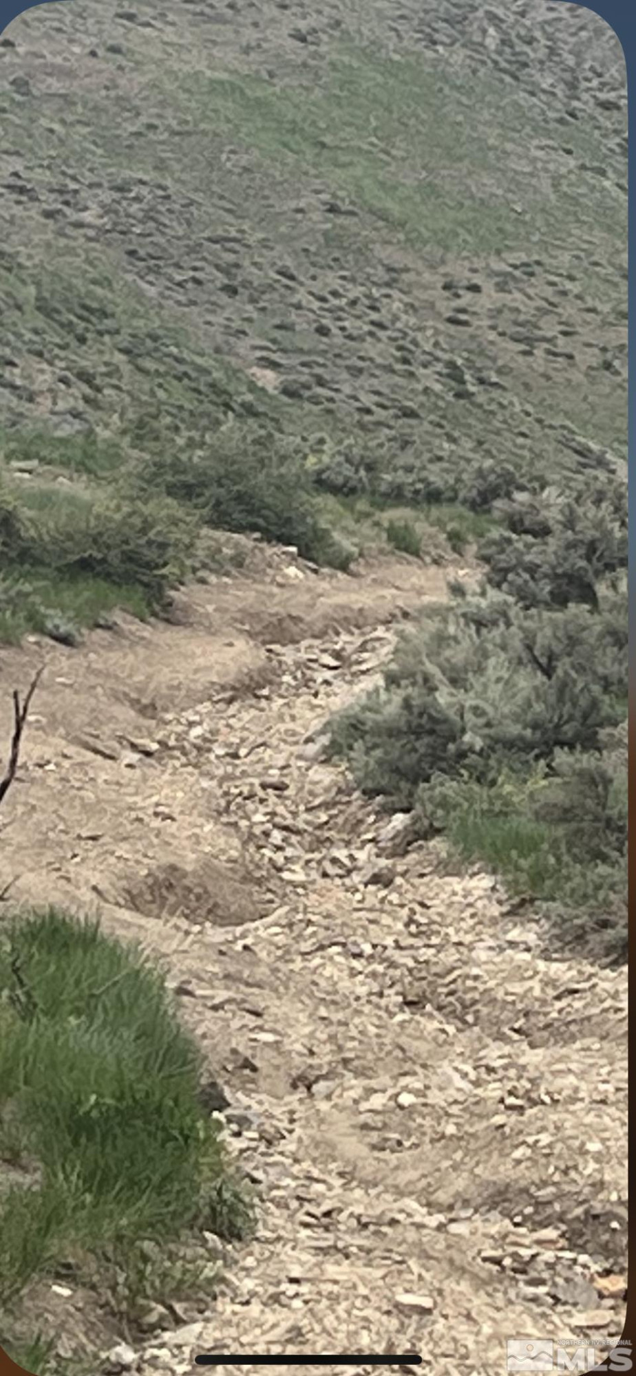 0 None Wellington, NV 89444 - Photo 8 of 8 a view of ocean