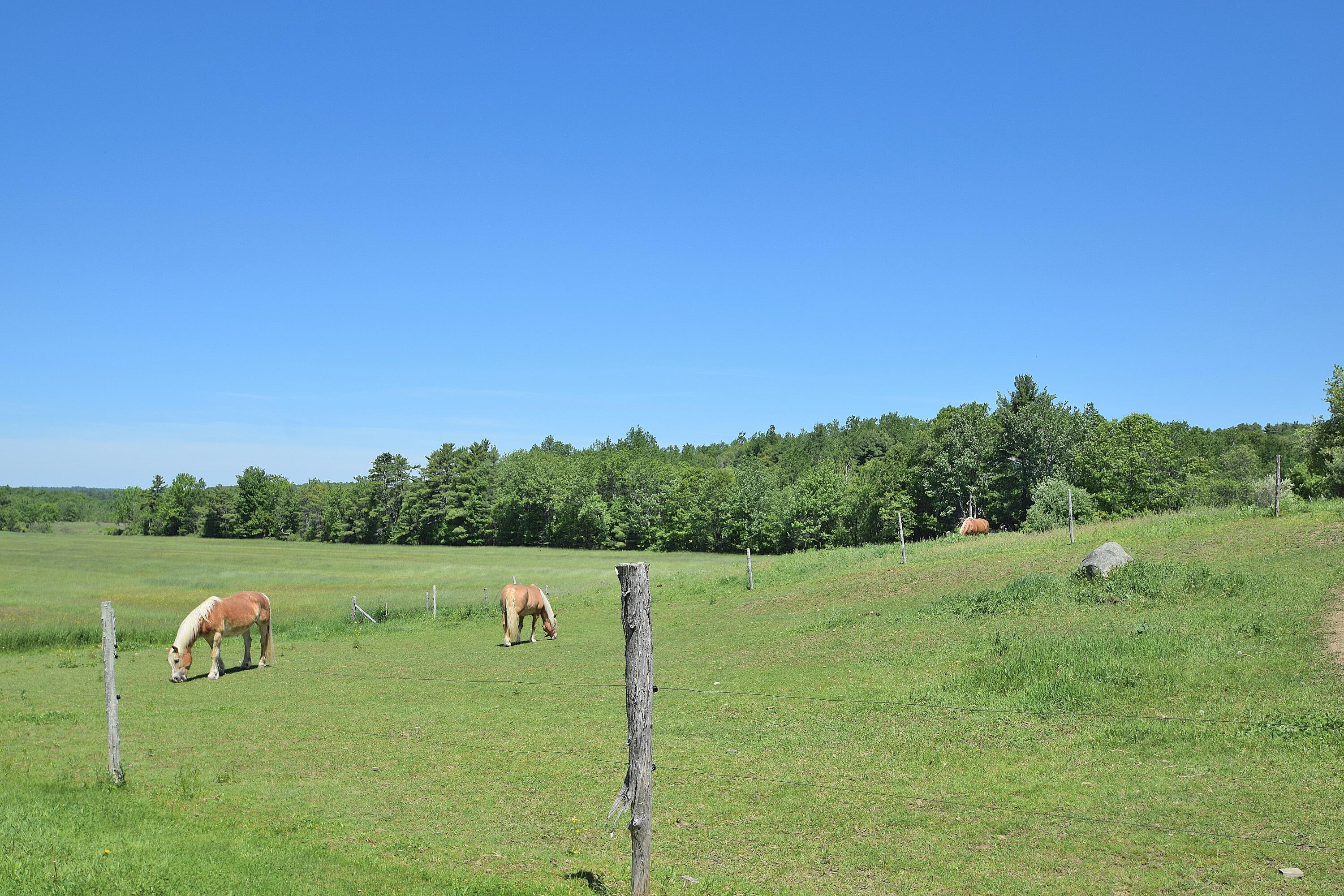 457 Lisbon Road Sabattus, ME 04280 - Photo 83 of 105 DSC_0025
