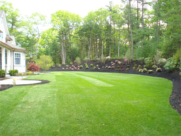 36 Walnut Road Weston, MA 02493 - Photo 4 of 29