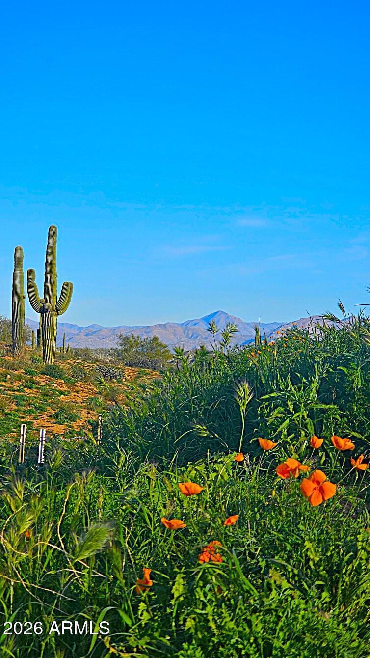 142-x4 East Montello Road Scottsdale, AZ 85262 - Photo 10 of 50