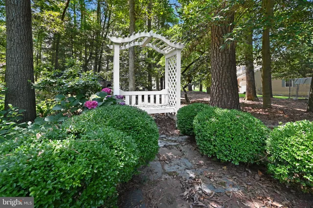a view of a garden with large trees