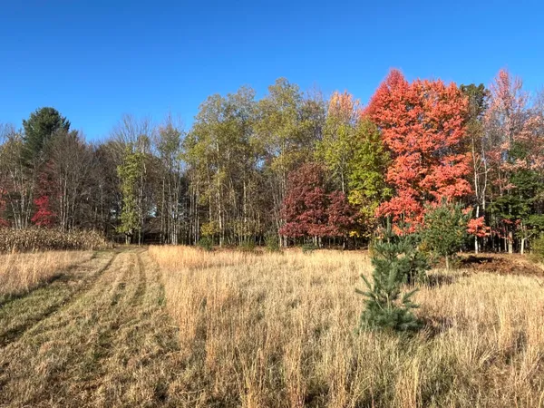 $290,000 | Par A Monroe Road, Lakeview, MI 48850