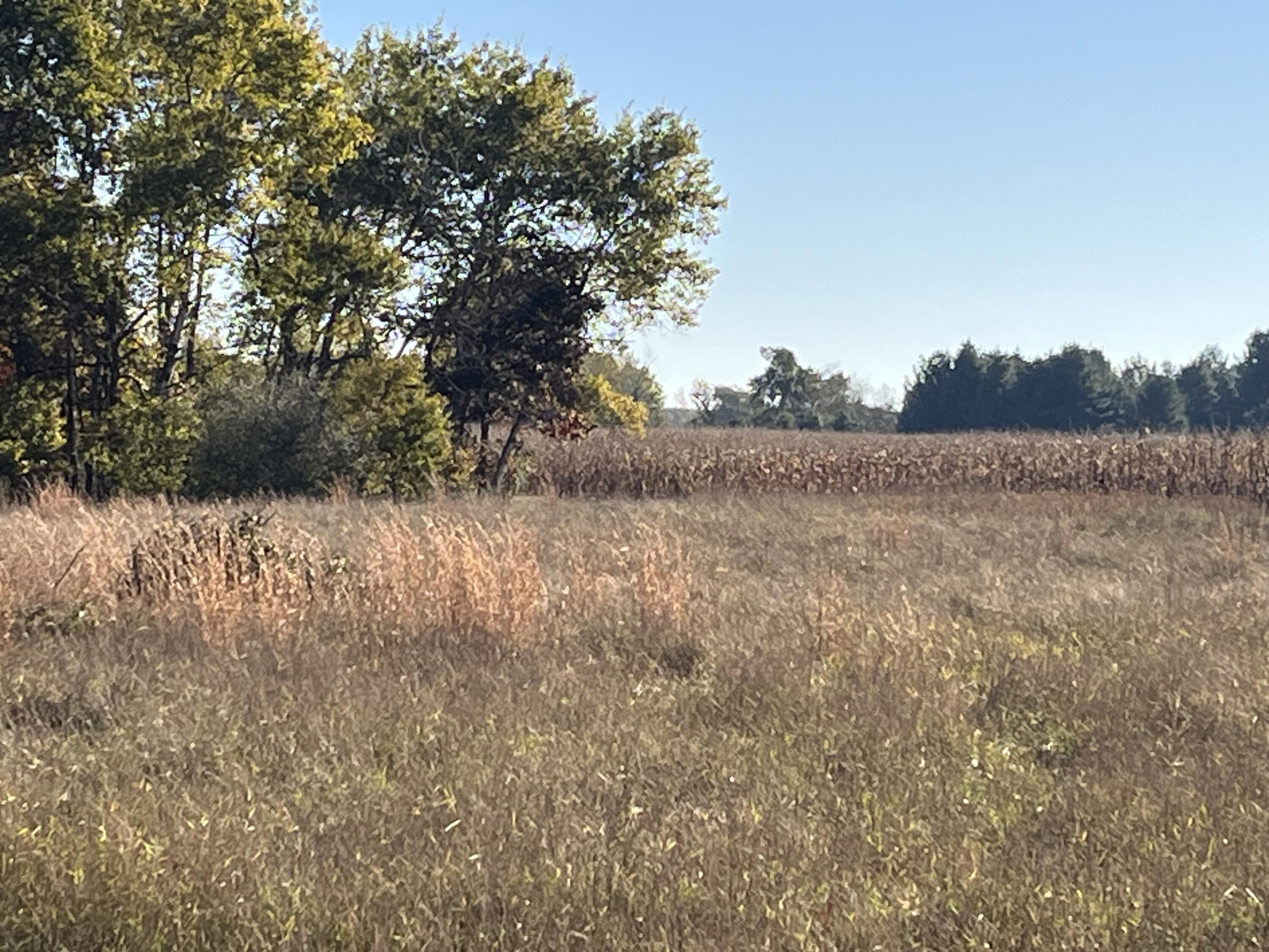 Par A Monroe Road Lakeview, MI 48850 - Photo 12 of 25 IMG_0445