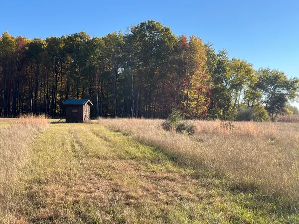 $290,000 | Par A Monroe Road, Lakeview, MI 48850