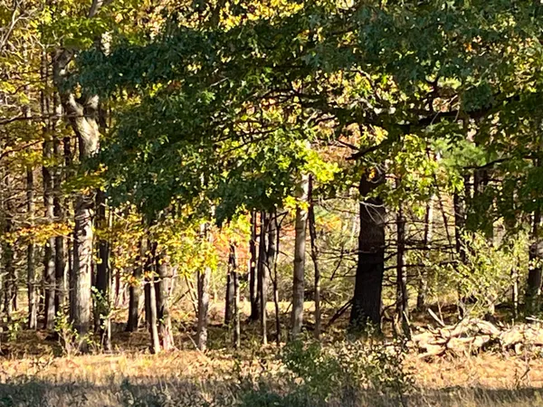 $290,000 | Par A Monroe Road, Lakeview, MI 48850