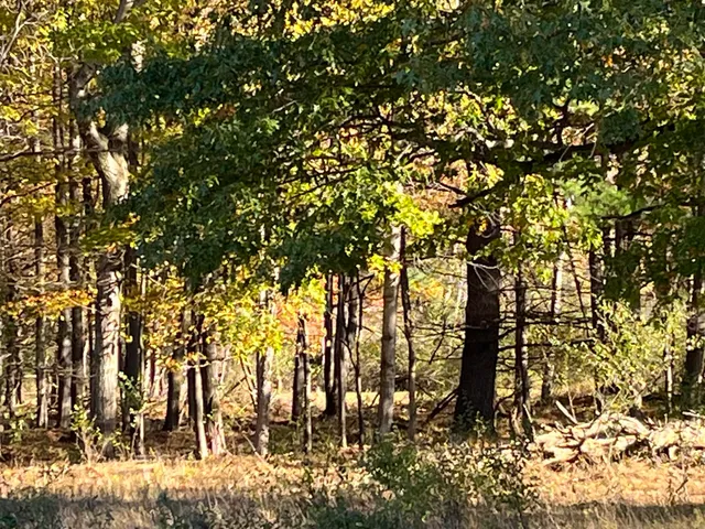 $290,000 | Par A Monroe Road, Lakeview, MI 48850