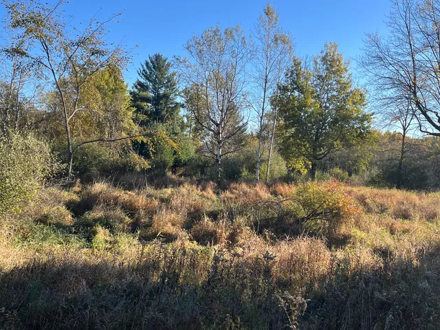 $290,000 | Par A Monroe Road, Lakeview, MI 48850