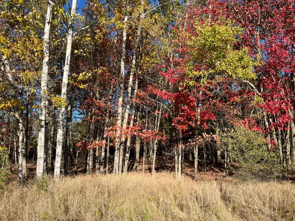 $290,000 | Par A Monroe Road, Lakeview, MI 48850