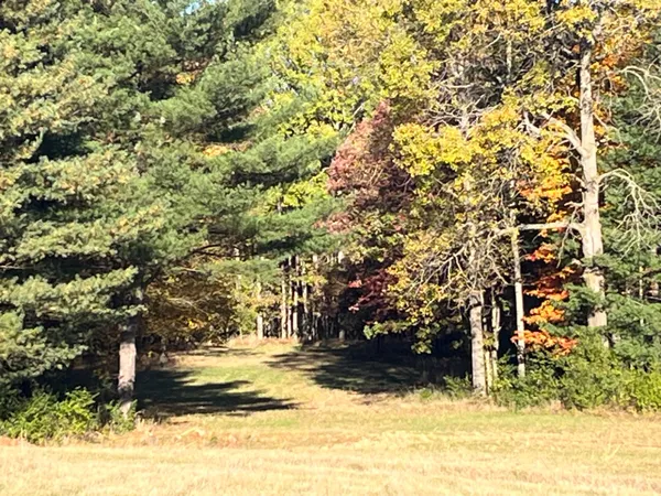 $290,000 | Par A Monroe Road, Lakeview, MI 48850