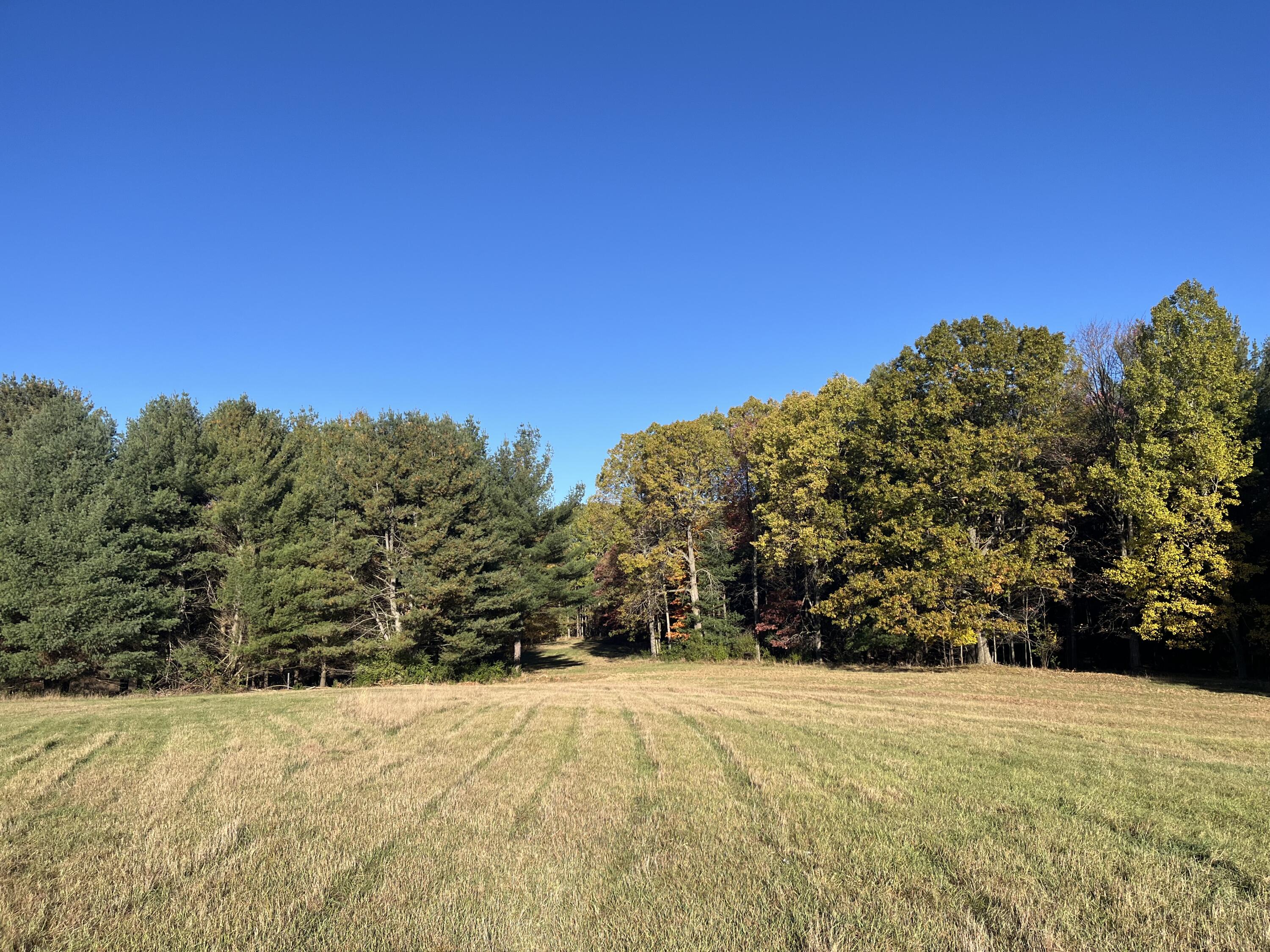 Par A Monroe Road Lakeview, MI 48850 - Photo 20 of 25 IMG_0437