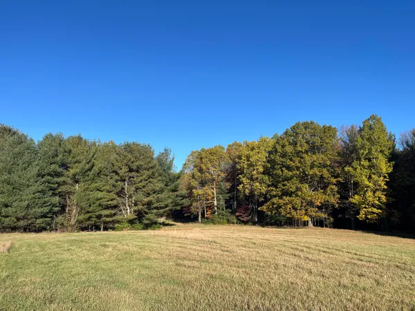 $290,000 | Par A Monroe Road, Lakeview, MI 48850
