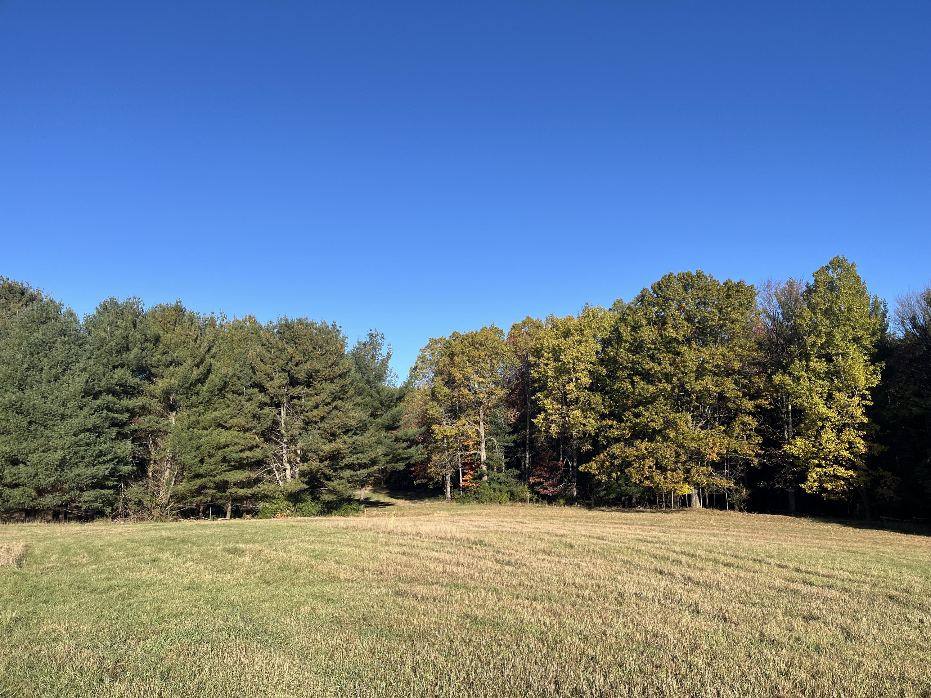Par A Monroe Road Lakeview, MI 48850 - Photo 21 of 25 IMG_0436