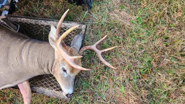 $290,000 | Par A Monroe Road, Lakeview, MI 48850