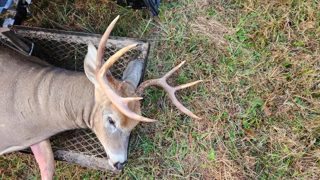 $290,000 | Par A Monroe Road, Lakeview, MI 48850